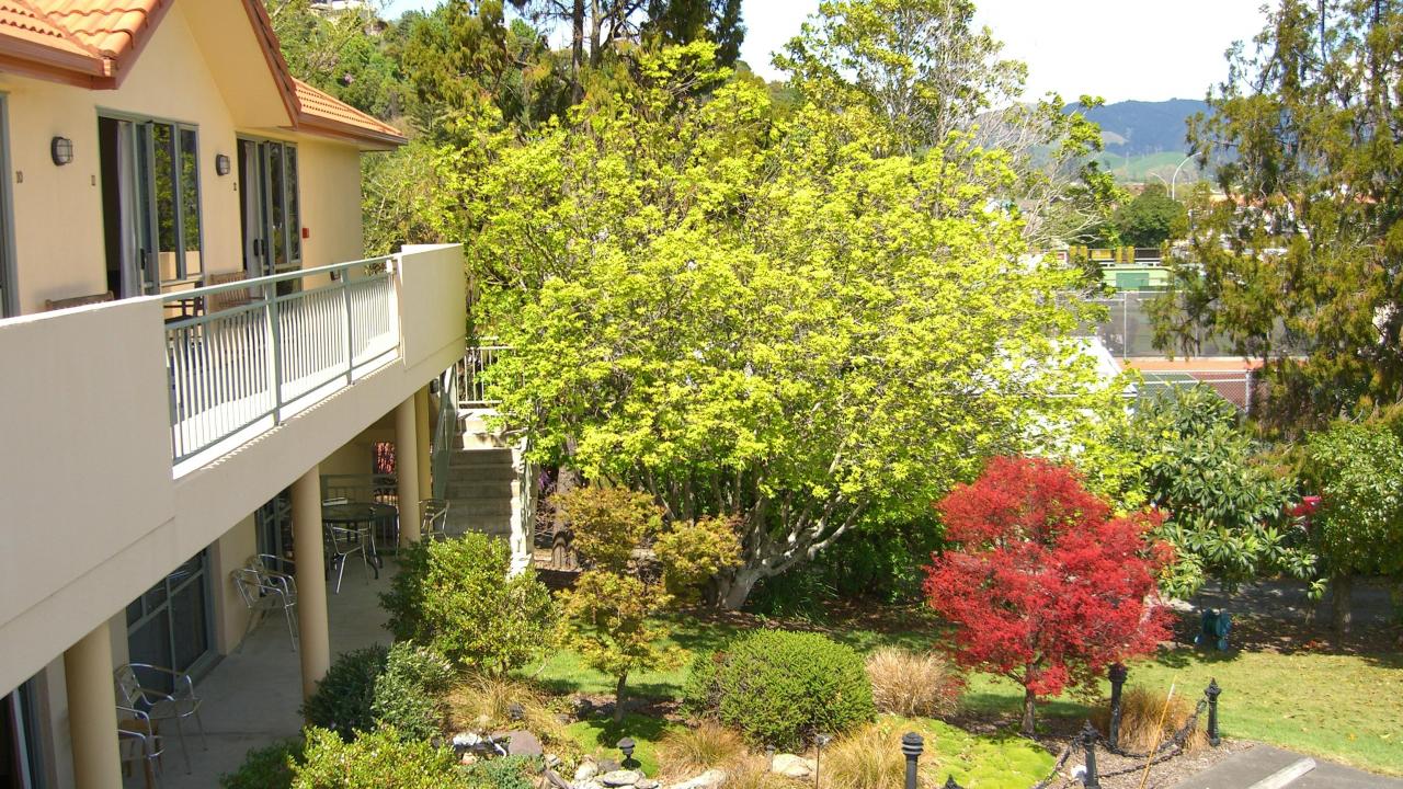 Abelia garden