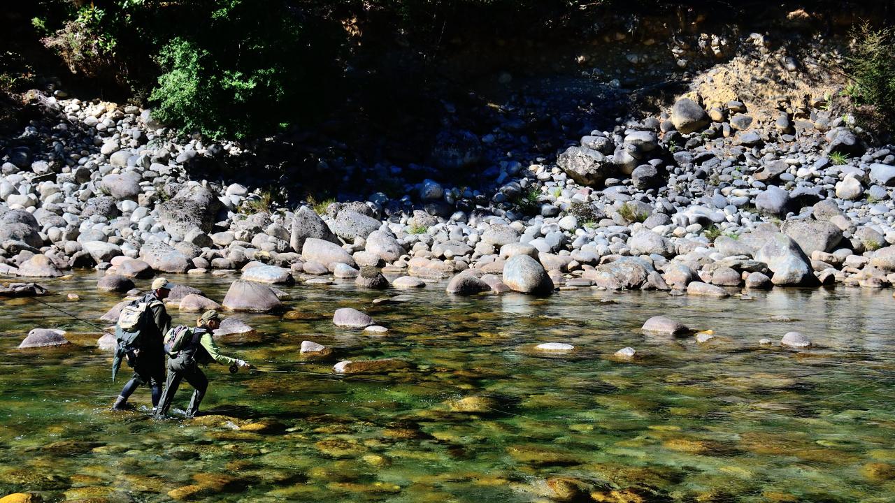 Fly Fishing in New Zealand for brown trout