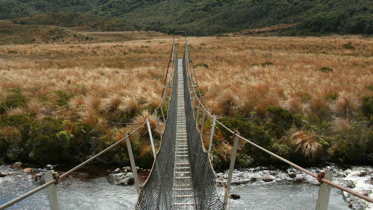 A bridge over a river on the Heaphy Track in Kahurangi National Park.