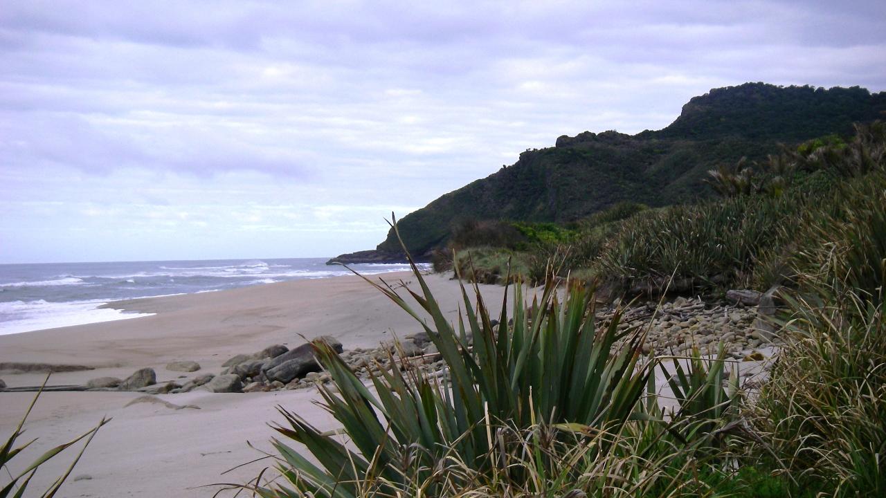 beach on the heaphy track