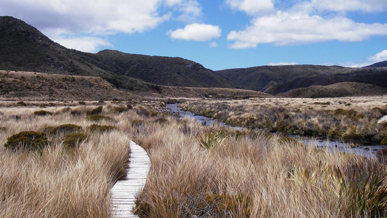 The beautiful Heaphy Track in Kahurangi National Park, New Zealand.