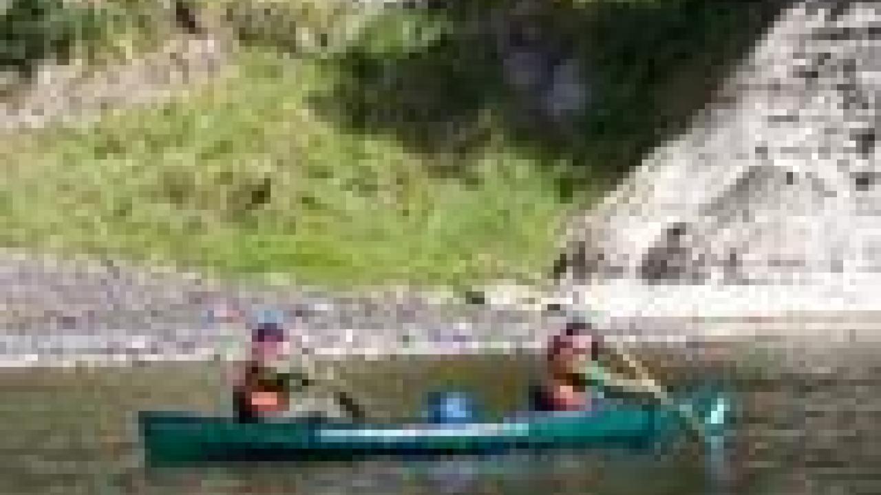 Whanganui River Adventures - Canoeing