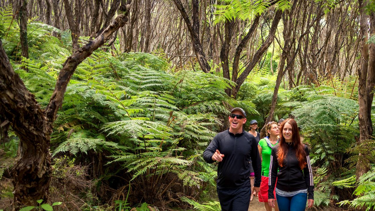 Hiking and kayaking are included on our Abel Tasman day trips.