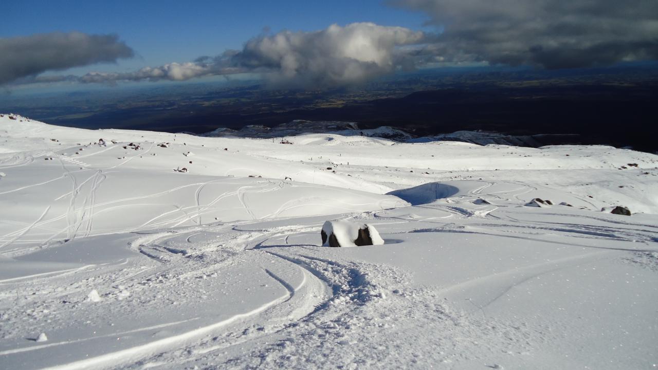 Fresh Tracks