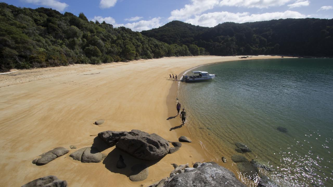 Te Pukatea - Abel Tasman National Park