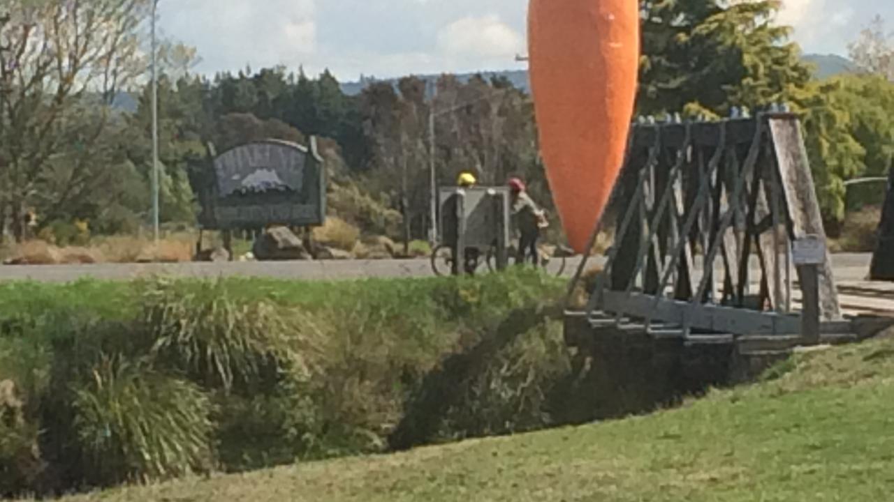 The famous Ohakune Carrot