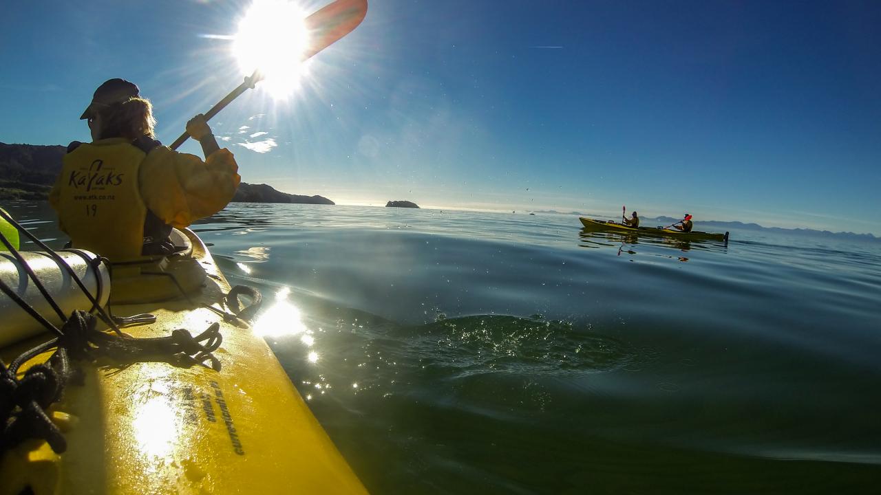 Paddling in the paradise