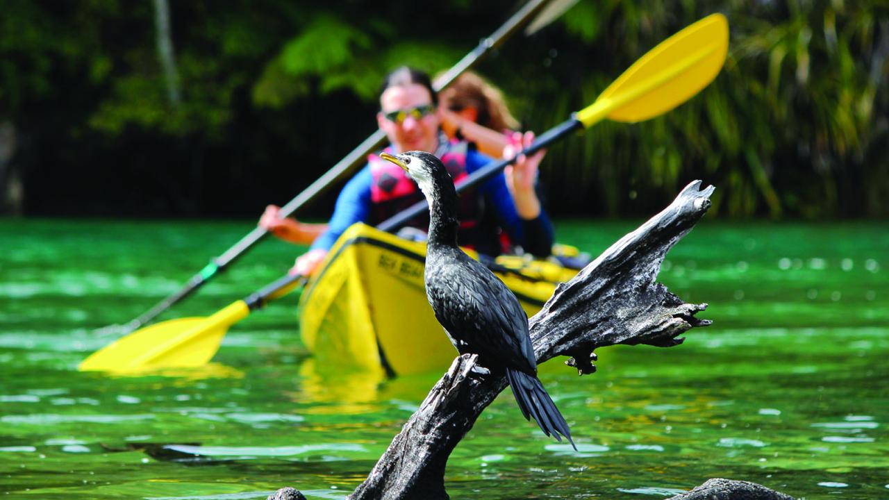 Kayaking in the Abel Tasman