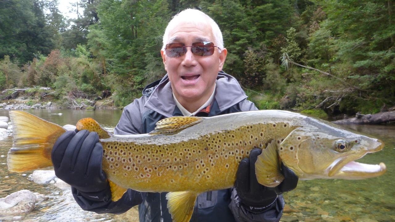 Trophy Trout