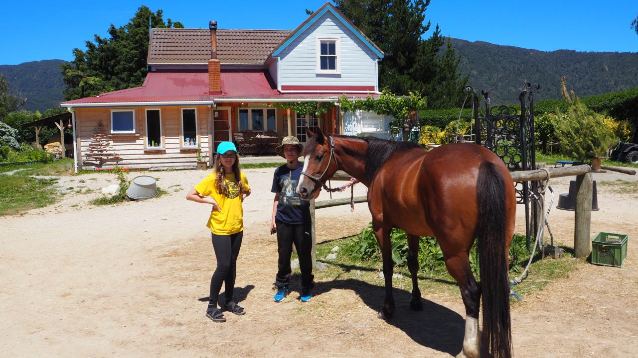 Horse Farm, Camping and Horse Riding Hack'n Stay Golden Bay, Abel Tasman New Zealand 