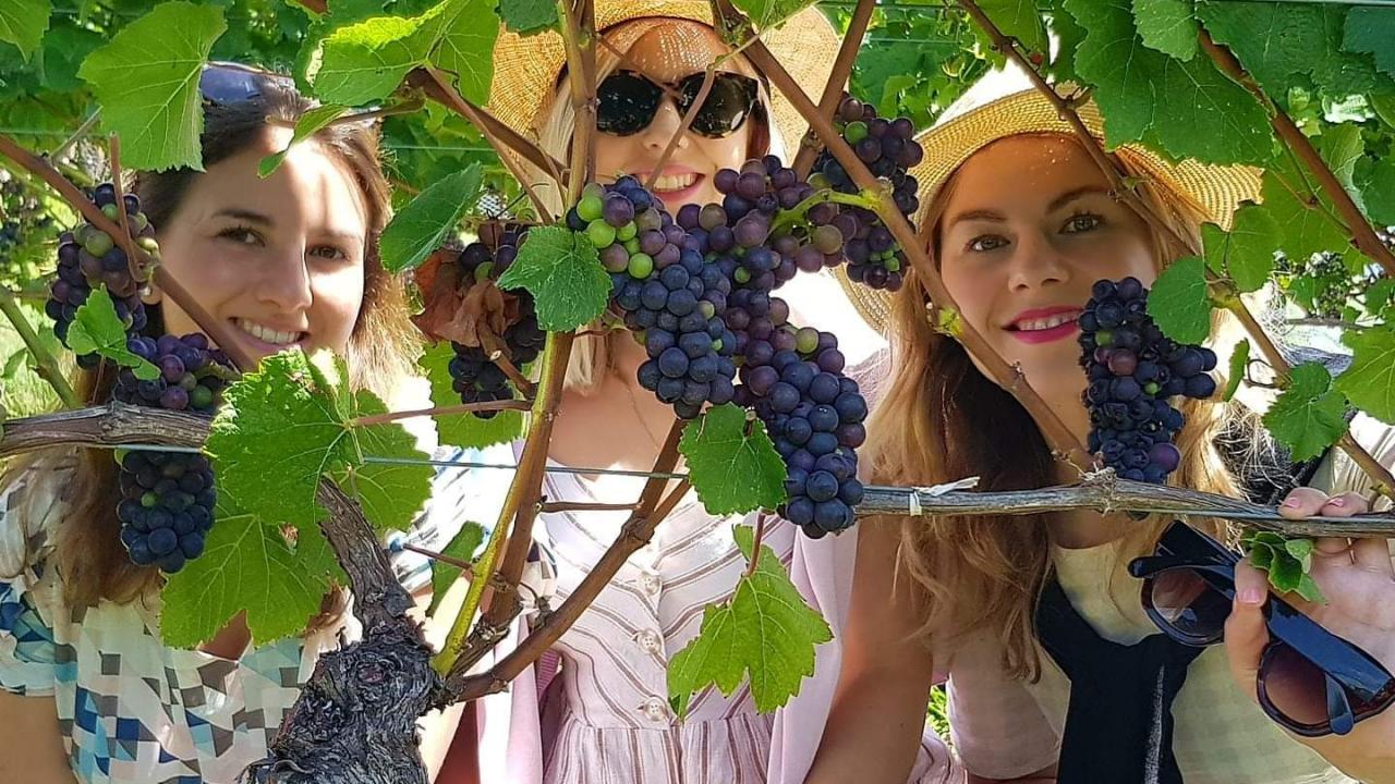 Girls having fun in the vineyard on our Nelson wine tour. 