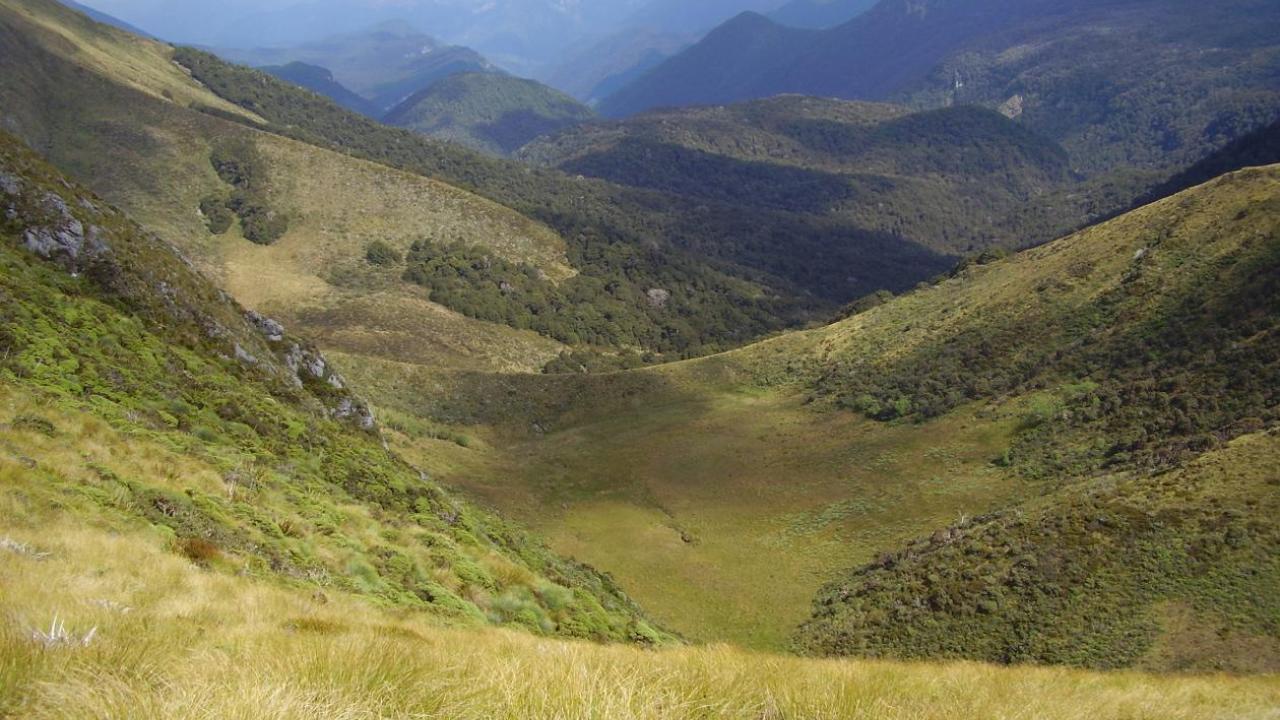 Looking down the Leslie Karamea
