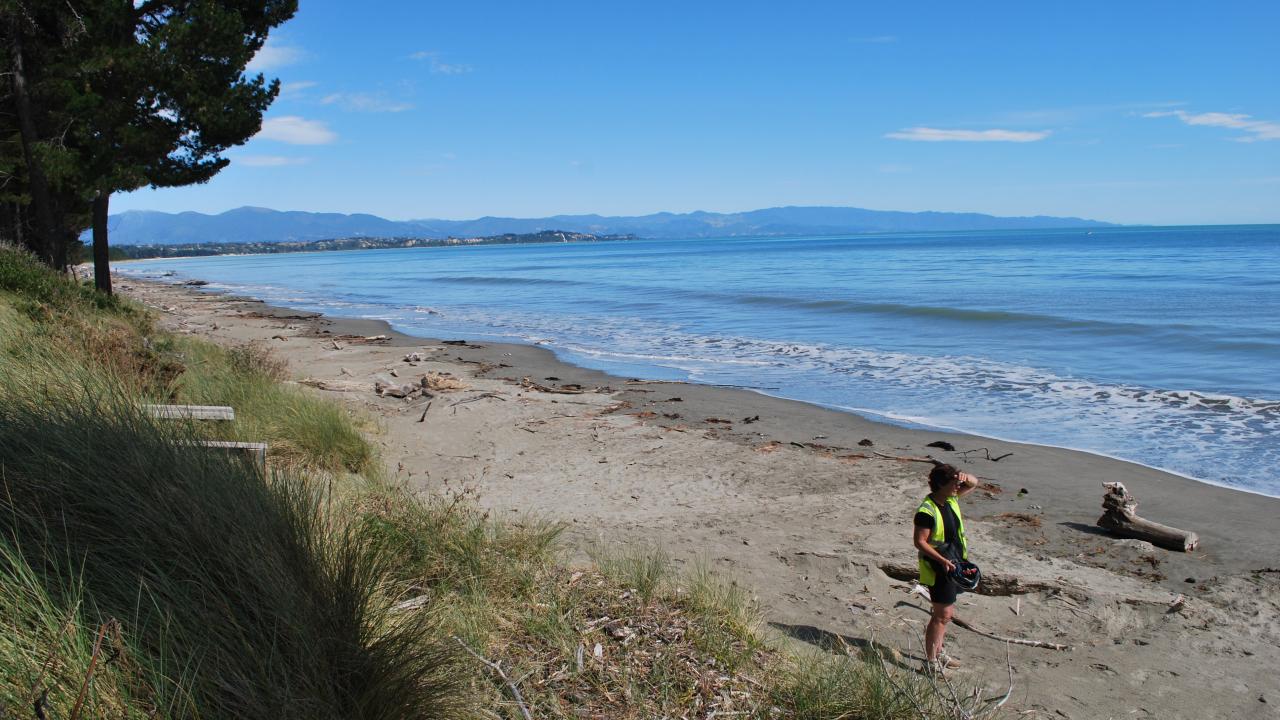 Rabbit Island beach, Great Taste Trail