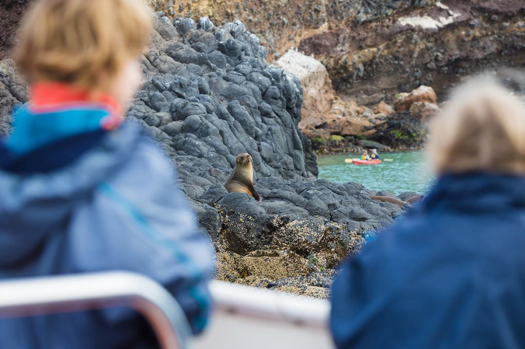 Monarch Wildlife Cruises