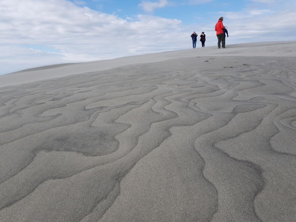 Patterns formed by the wind on one of the Massive dunes.