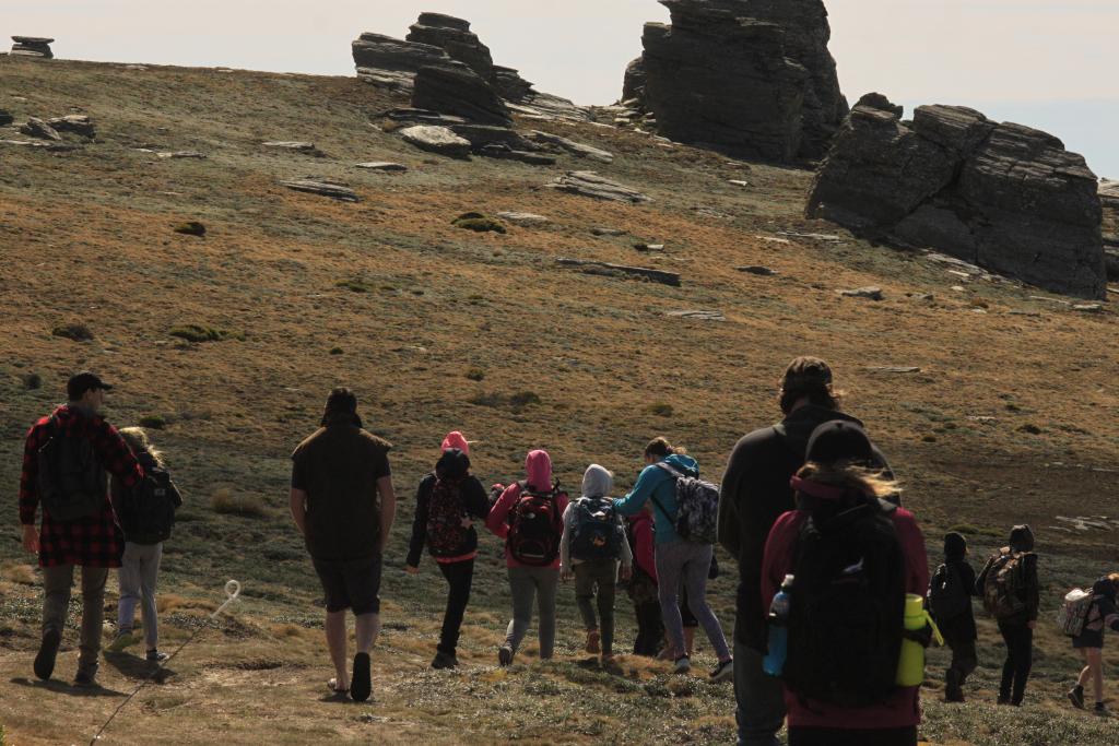 Middlemarch Lodge and Tours