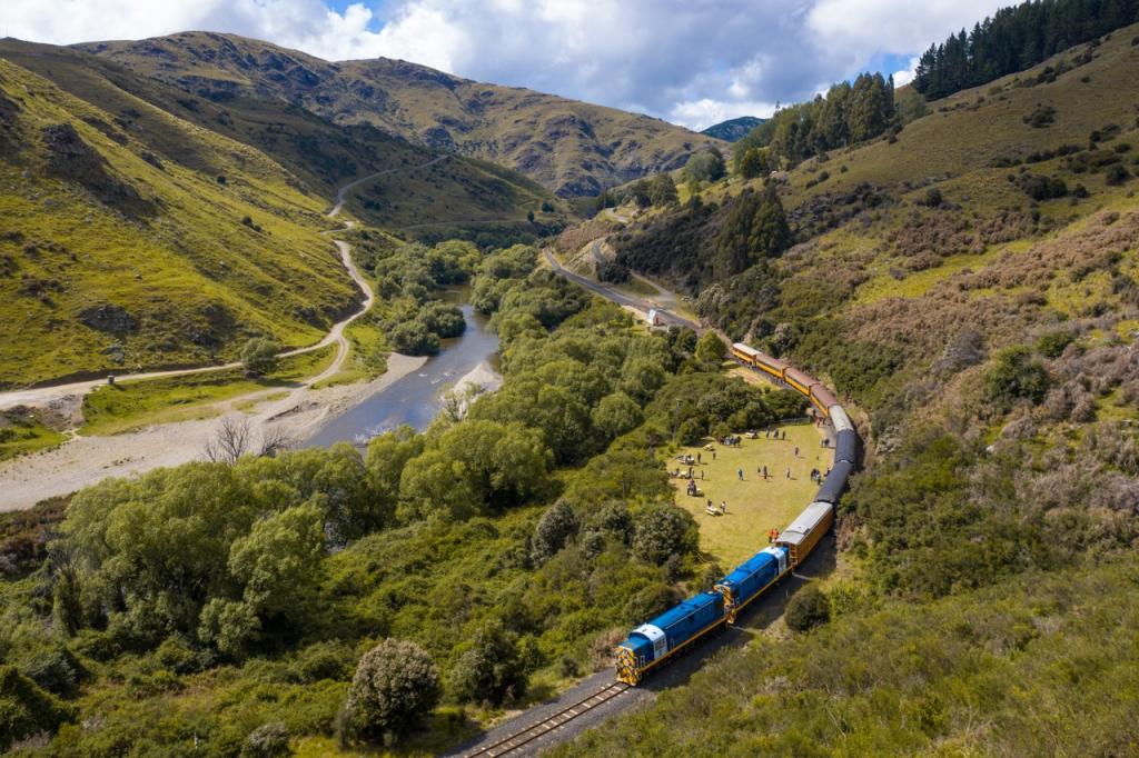 DunedinNZ