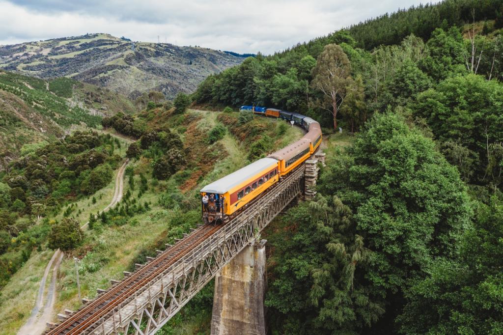 DunedinNZ