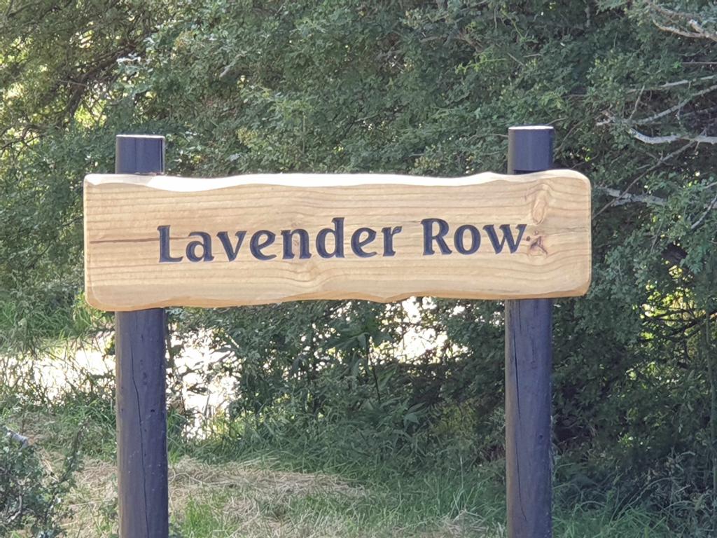 Lavender Row Farm