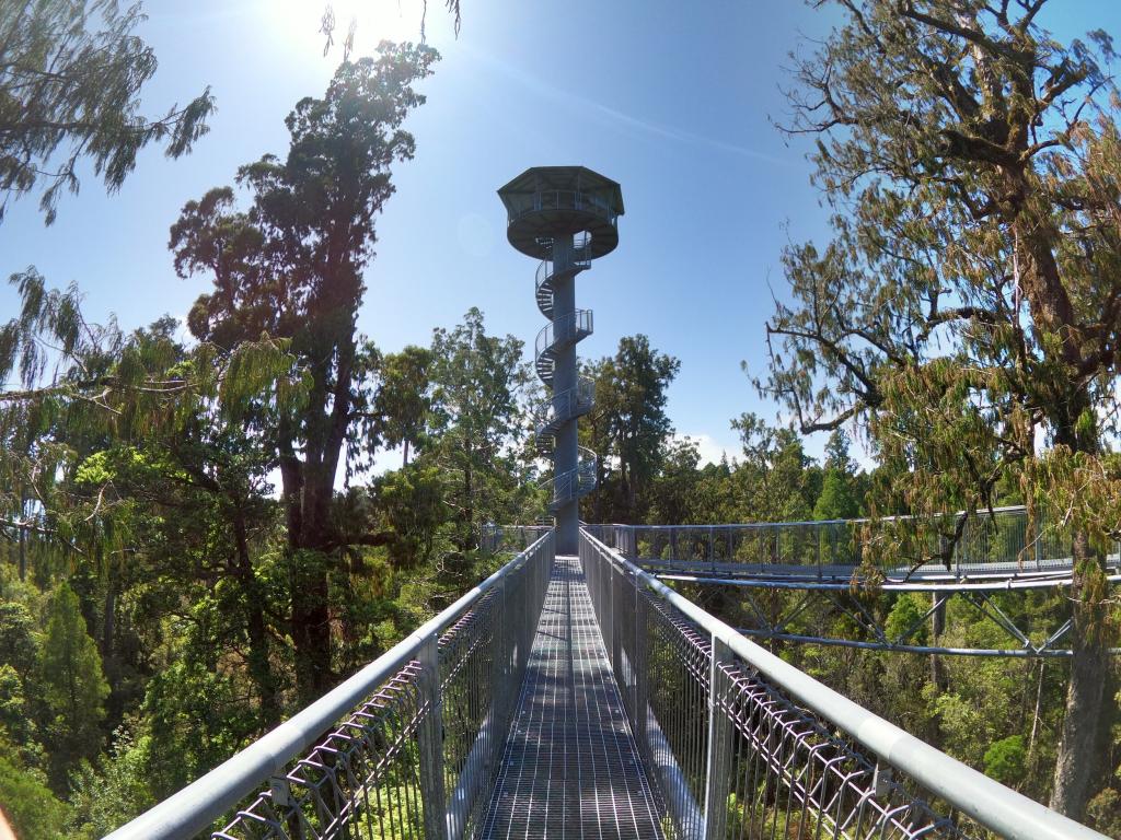 Ross to Rainforest Ramble - Kiwi Journeys