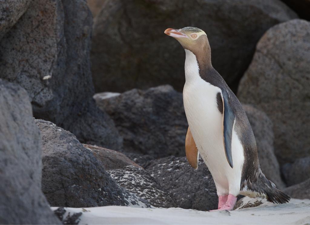 Clearwater Wildlife Tours