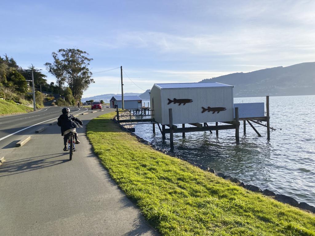 DunedinNZ