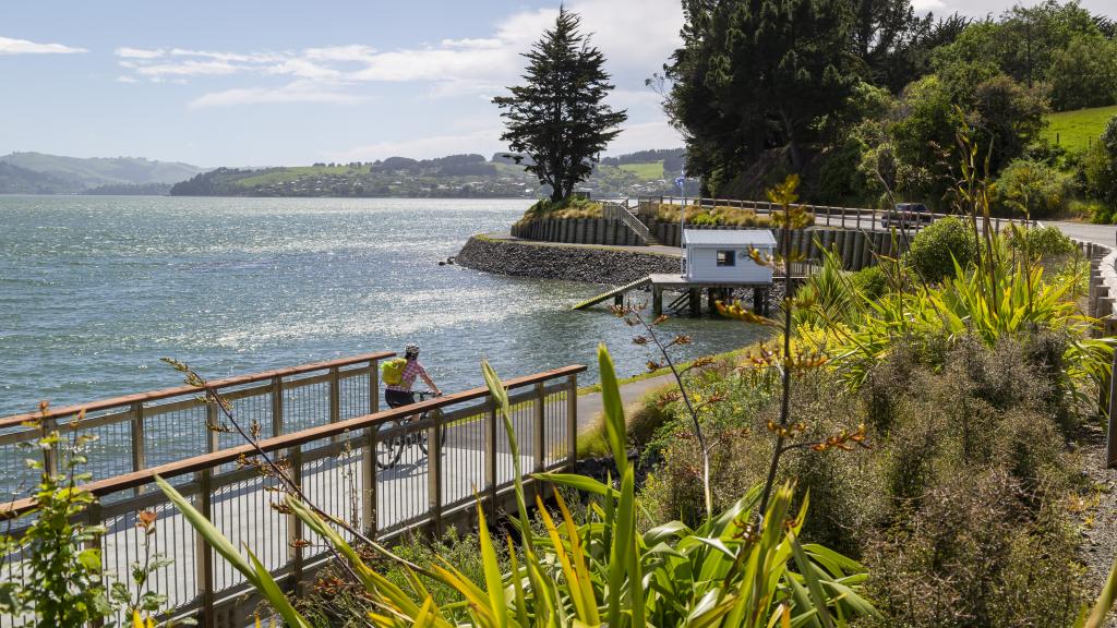 DunedinNZ