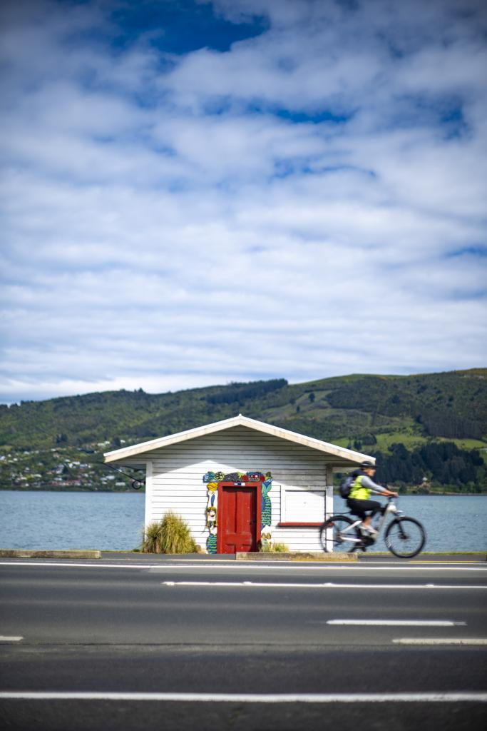 DunedinNZ