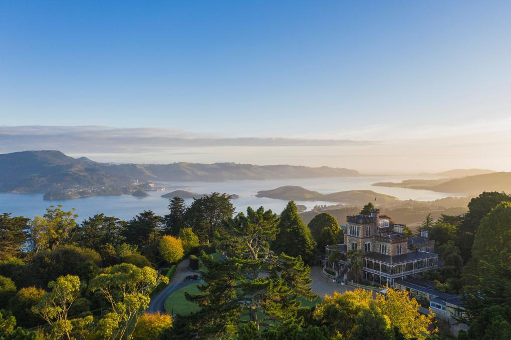 DunedinNZ