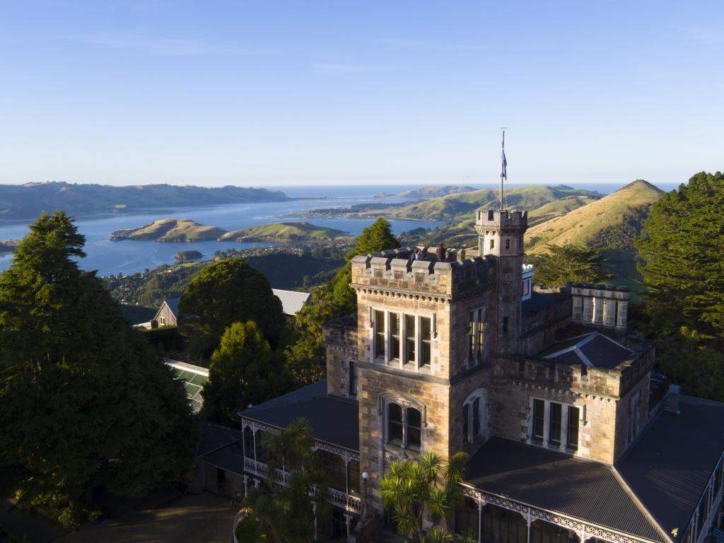DunedinNZ