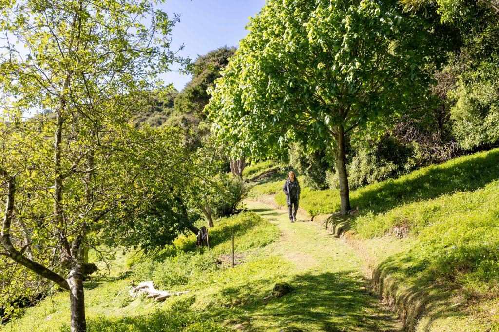 Explore complimentary walking trails through our nature and bird sanctuary, with the option to hike up to the iconic Harbour Cone. Simone Jackson