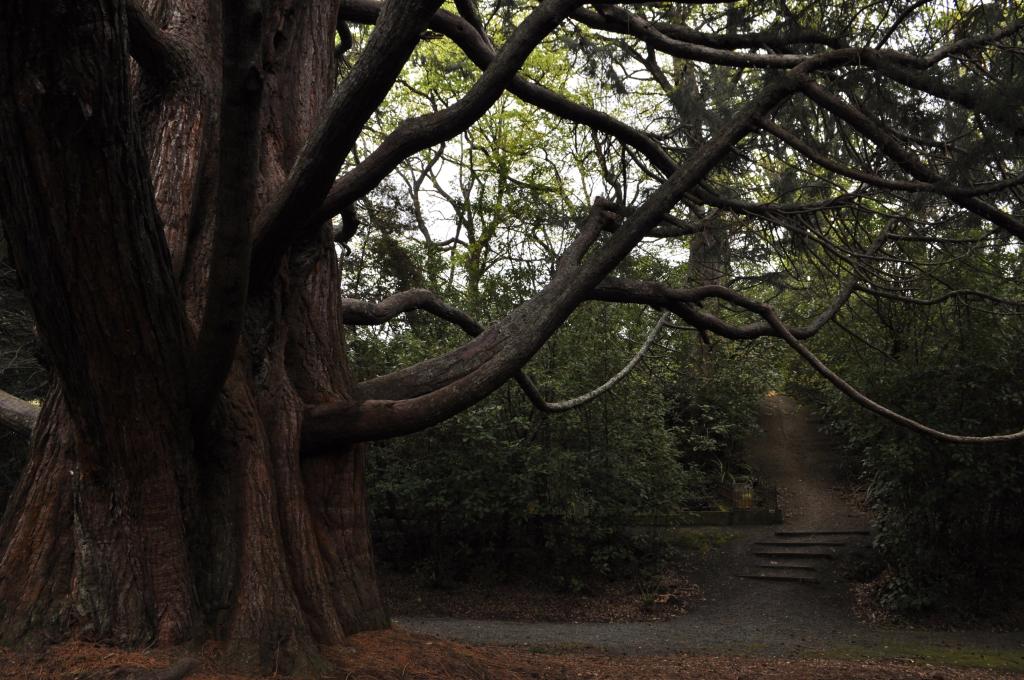 The Northern Cemetery-The Six Feet Down Under Cemetery Walk @jacktheclicker