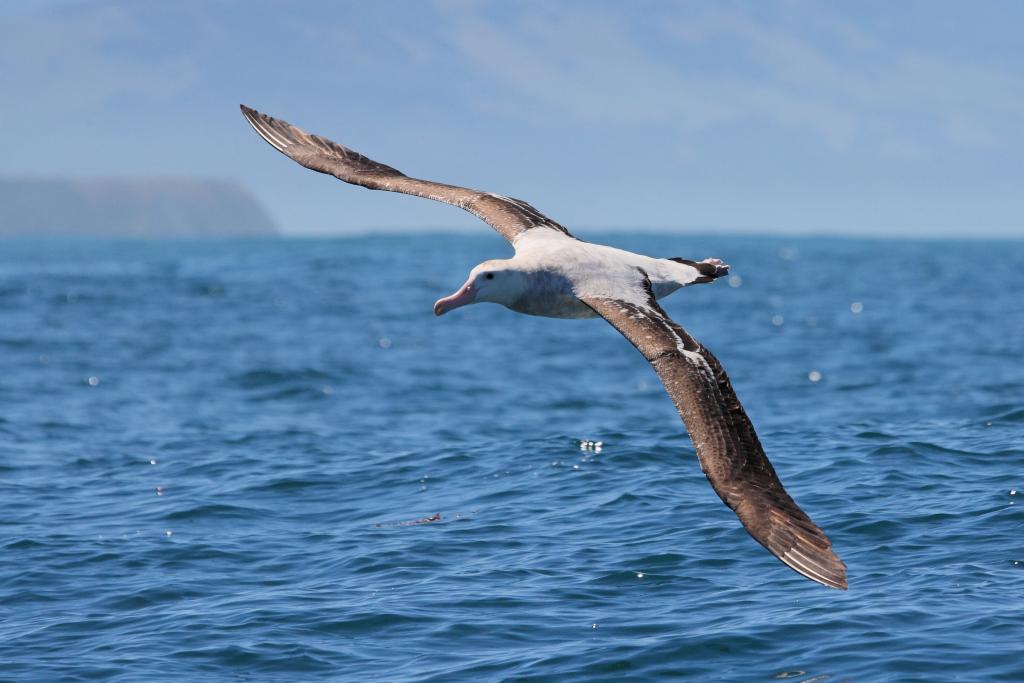 Nature Quest NZ