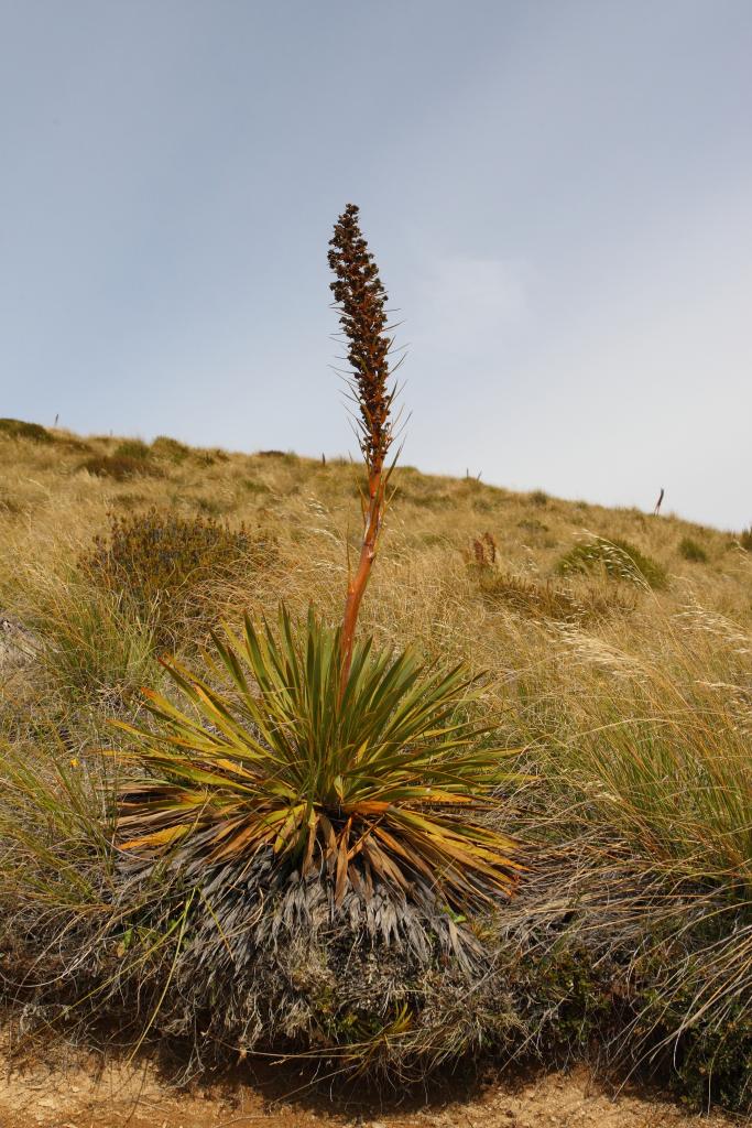 Nature Quest NZ