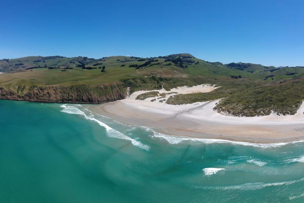 Dunedintours.co.nz