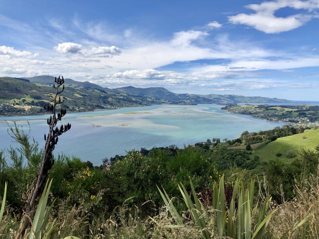 Dunedintours.co.nz