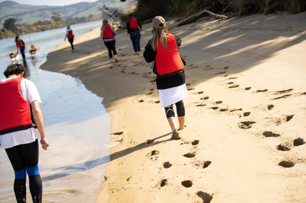 DunedinNZ