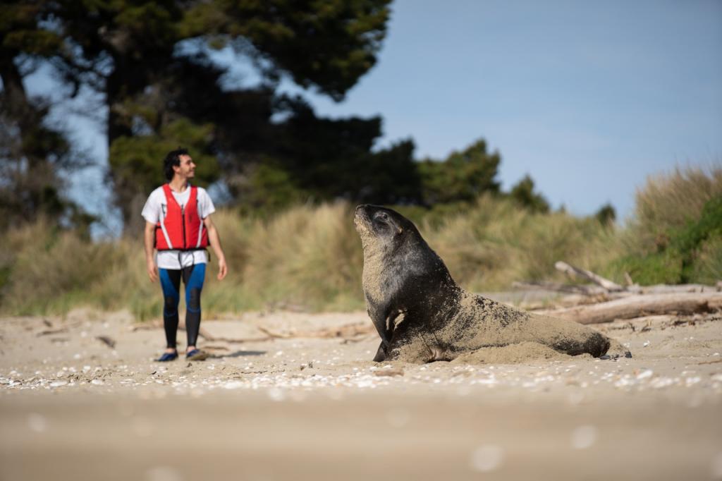 DunedinNZ