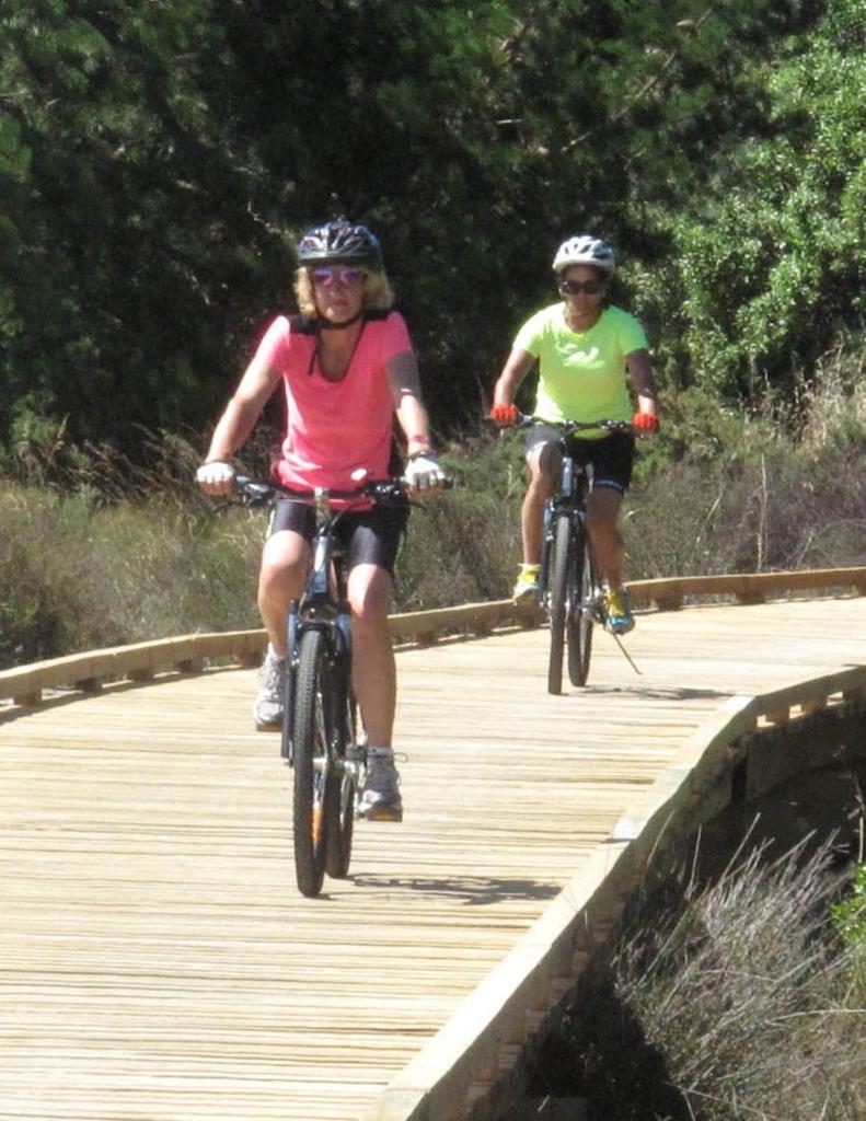 Cycling on Waimea Estuary Boardwalk on the Great Taste Trail
