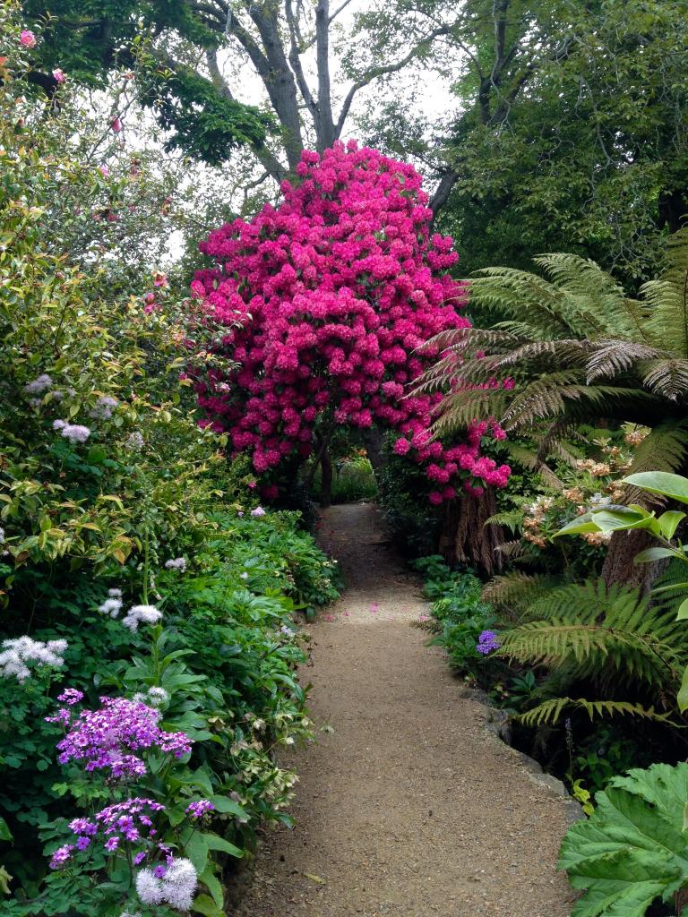 Glenfalloch Woodland Garden - Ōtepoti | Dunedin New Zealand official ...