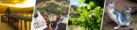 Akaroa Experience Package
