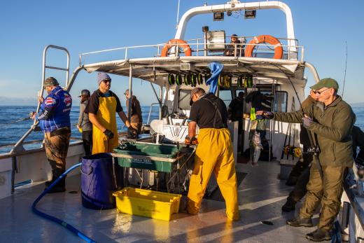 Ezifish Charters - Moeraki Charter