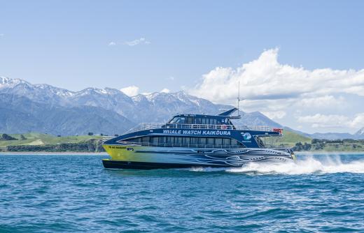Whale Watch Kaikoura