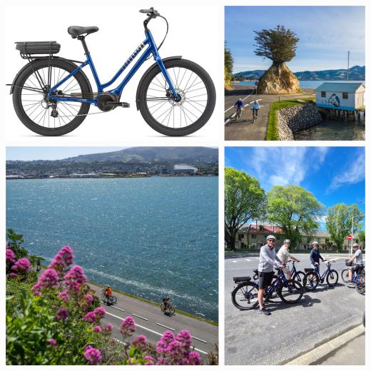 Dunedin eBike Hire Ltd
