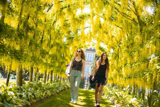 Larnach Castle Gardens