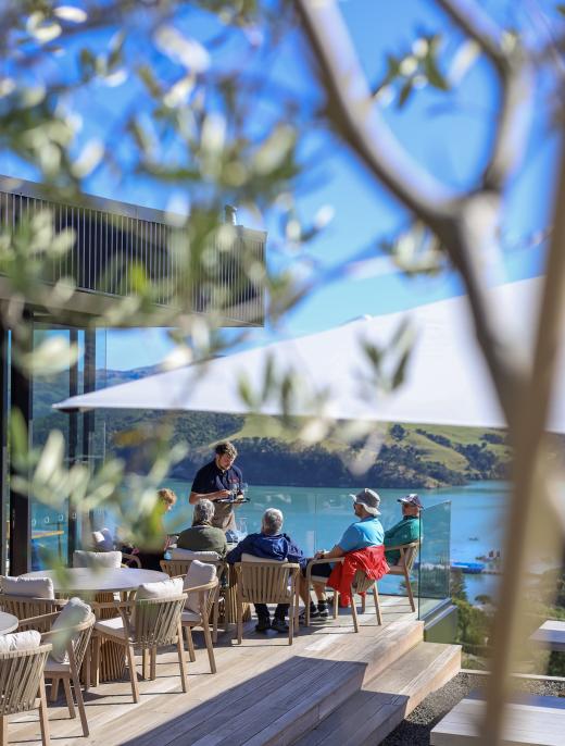 Akaroa Heli Lunch - Caldera Vineyard Estate