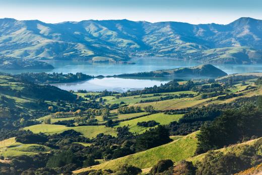 Akaroa Harbour Day Tour and Dolphin Cruise Small Group (8 max) Tour