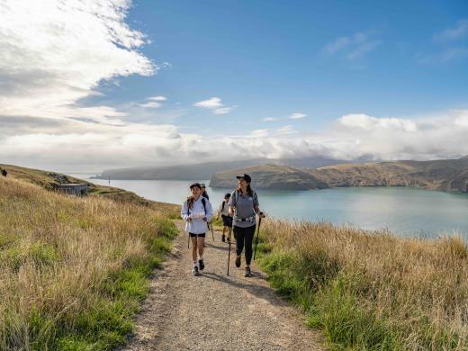 Half Day Godley Head Guided Walk 