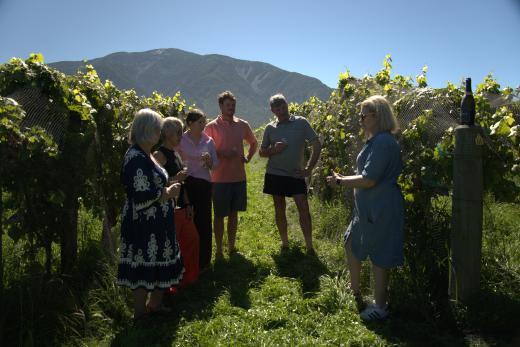 Kaikōura Bespoke Tours