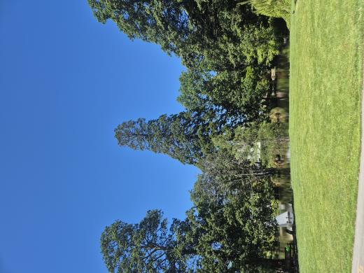 Christchurch Scenic Private Tour with Local Guide Half Day